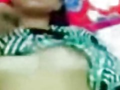 Малайский грудастая застенчивая(ый) застенчивый кошка